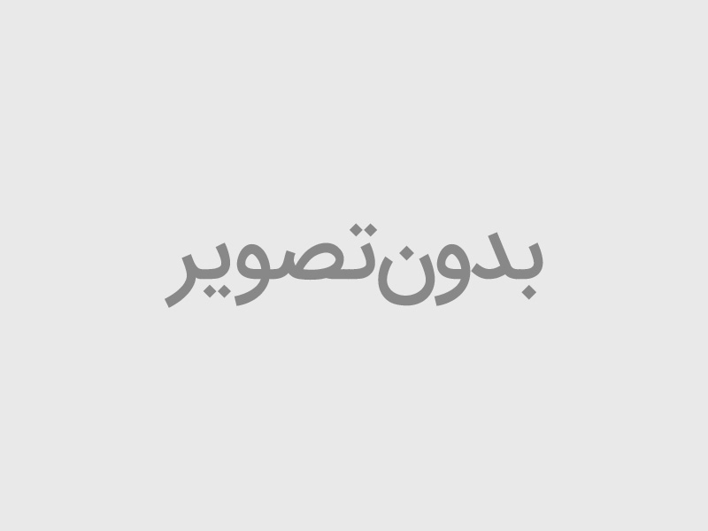 خرد کن دو کاسه سیلور کرست